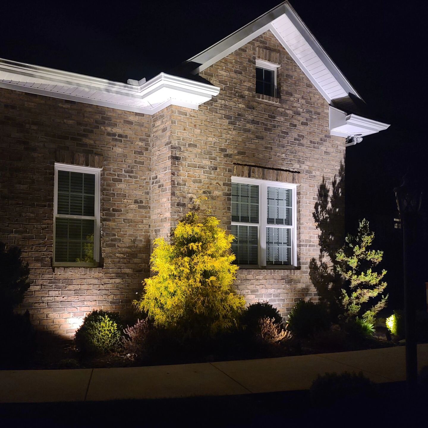 Landscape Lighting Project 4