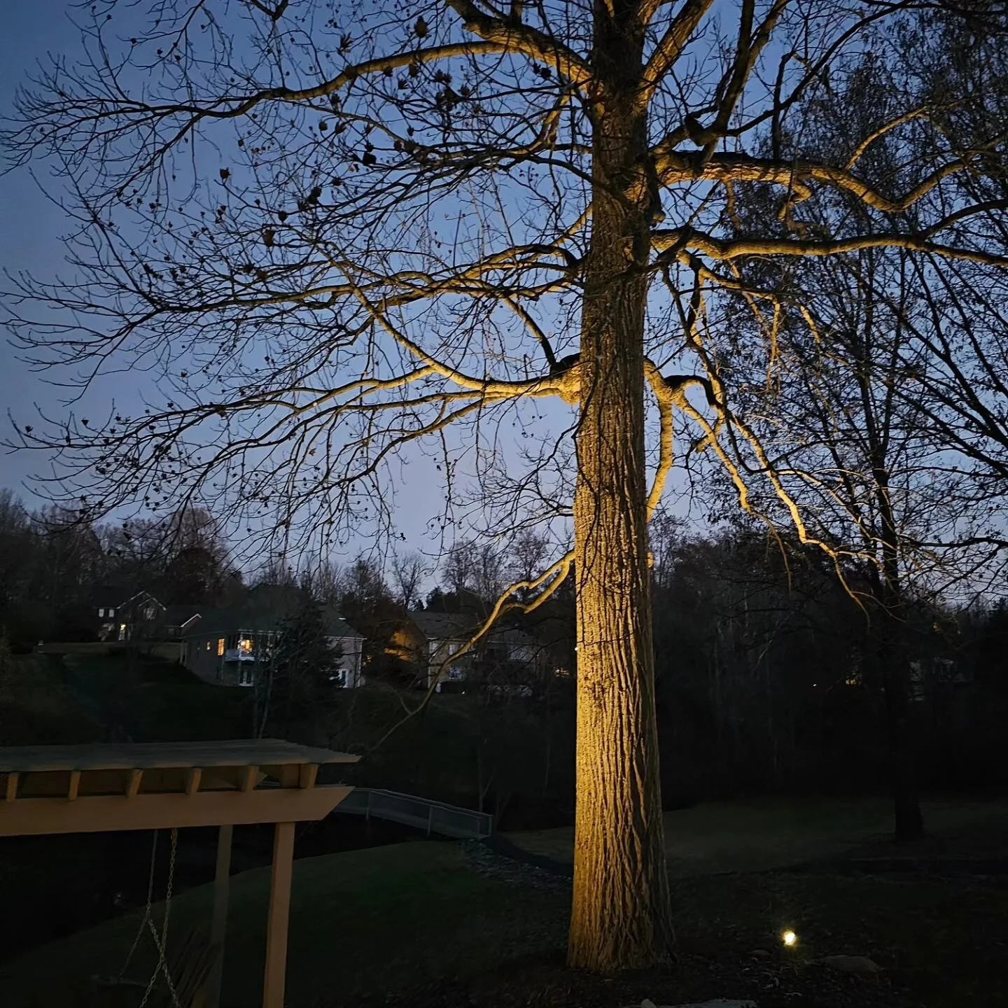 Landscape Lighting Project 13